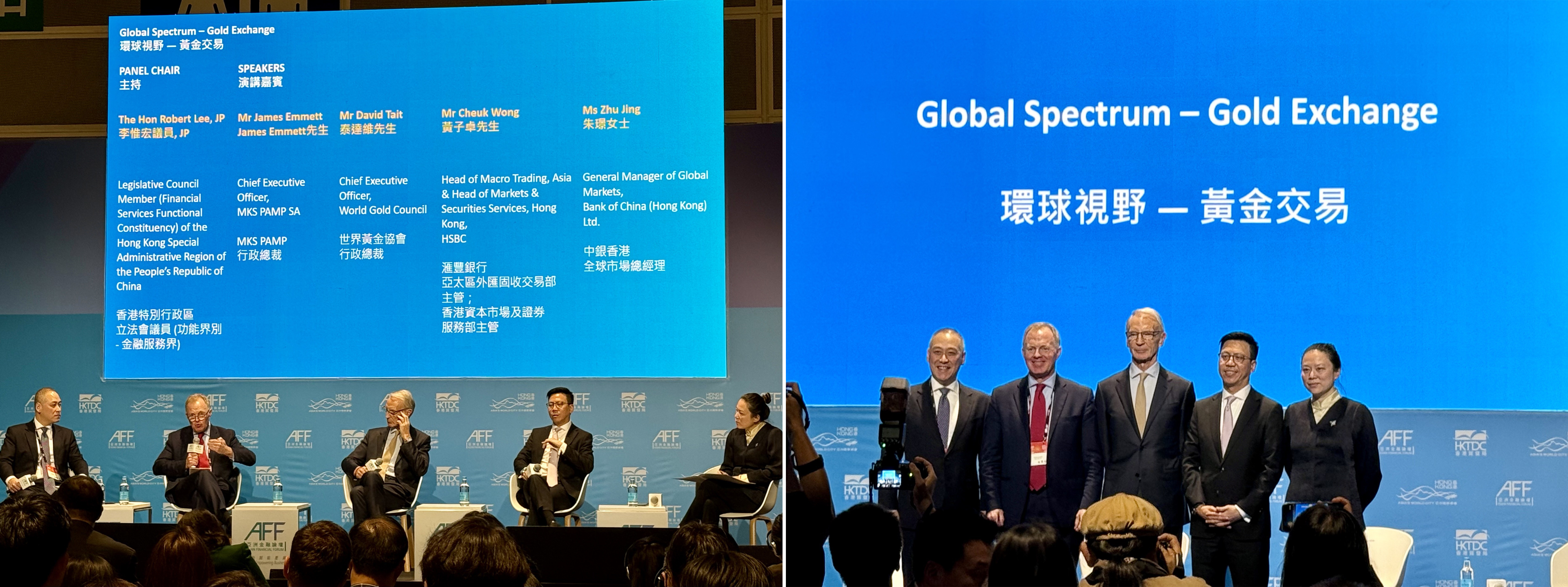 Asian Financial Forum Panel